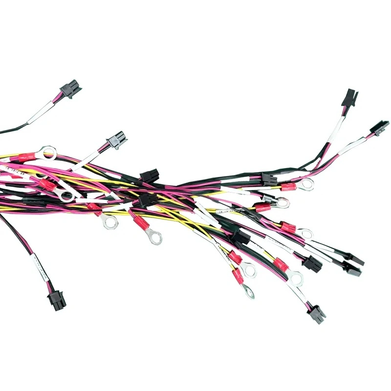 ODM OEM Custom Ls1 Wire Harness New Energy Vehicle Charging Cable Wiring Power Supply Charging Pile Cable Accessories